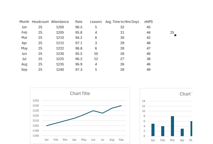 professional excel dashboards and HR analytics reports